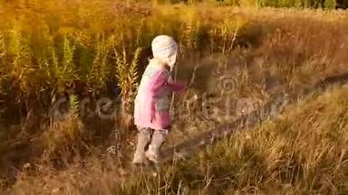 一个小女孩穿过<strong>秋天</strong>的田野。 从日落中发光。 慢动作<strong>视频</strong>。