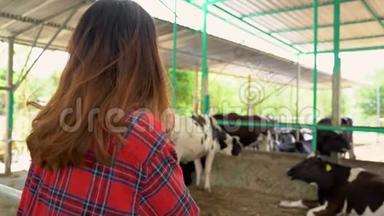 美丽的亚洲妇女或农民与奶牛场奶牛场-农业和畜牧业概念
