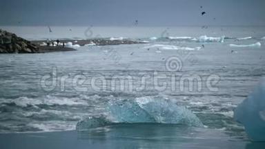 一群鸟飞过海洋中的冰块。 安德列夫。