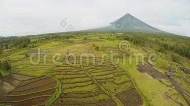 马永火山靠近菲律宾的勒加兹皮市。 从空中俯瞰稻田。 玛雅火山是一座活火山，