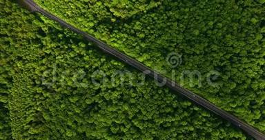 空中景色随着汽车的移动飞越公路，那穿过车道的绿色森林。 汽车沿林路行驶.. 汽<strong>车轮胎</strong>