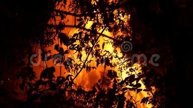 丛林火区，夜间燃烧，大量烟雾上升到空中。