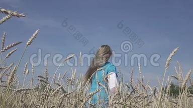 快乐的年轻苗条的女人，穿着蓝色连衣裙的长发，在夏天阳光明媚的日子里，在成熟的麦子里旋转。 慢动作