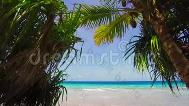 法属波利尼西亚带球虫的热带海滩