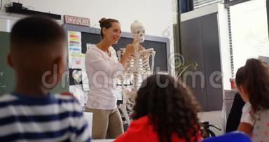 高加索女教师在4k教室讲解人体骨骼模型的正面观点