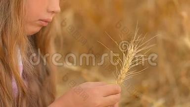 抱着麦穗的女孩微笑着抱着麦穗的孩子。