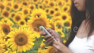 女孩用智能手机在邮件中阅读<strong>一封信</strong>，夏天在向日葵<strong>的</strong>田野里穿越乡村