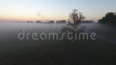 农场房屋和陆地<strong>太阳落山</strong>，覆盖在雾中，鸟瞰。 乌克兰