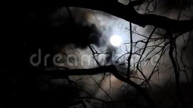 在一个多风的<strong>夜晚</strong>，<strong>树</strong>荫下的月亮