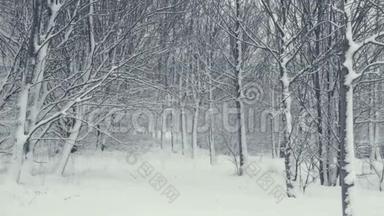 冬季树木结构。 落雪的风景。