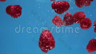 许多红树莓在蓝色背景下落入水中。