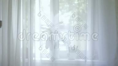 一个年轻漂亮的长发姑娘站在窗边，喝着茶，欣赏着窗外的景色