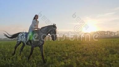 日落时骑在草地上的小女孩的超慢动作。