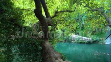 令人惊叹的绿色平静的池塘和瀑布