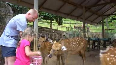 爸爸和女儿在动物园喂奶。 父亲`关怀理念