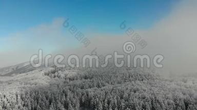 飞上白雪皑皑的冬雾蒙蒙的山林，白雪覆盖..