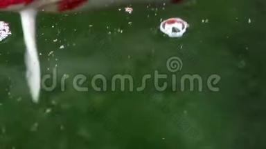 以软质为中心的锦鲤鱼在颗粒漂浮的绿水中<strong>游动</strong>