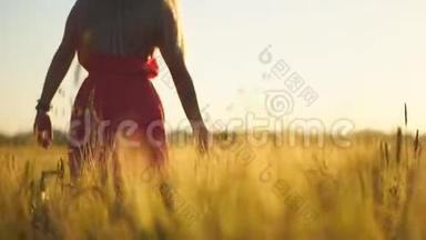 日落时分在麦田里散步的年轻女子