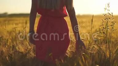 日落时分在麦田里散步的年轻女子