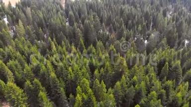 空中飞过一片<strong>绿树</strong>成荫的森林。 <strong>绿树</strong>的背景。 医生的录像