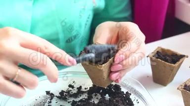 在家里种树苗.. 那个女人正在用泥煤罐填满土壤。