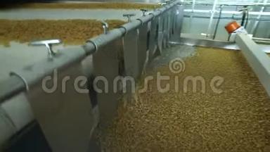 面食工厂和面食生产阶段.. 在现代食品生产中，关闭从机器单元溢出的干通心粉