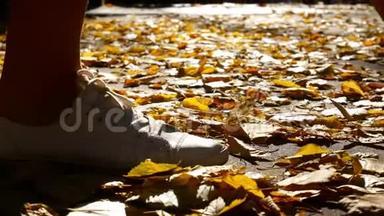 慢动作，女孩在橙色叶子上的秋天公园里散步，粉碎的采摘叶，秋天，白色运动鞋的方法
