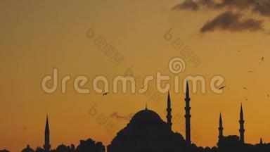 从土耳其伊斯坦布尔的Bosphorus日落时，可以看到Suleymaniye清真寺的慢镜头，海鸥在那里飞来飞去。