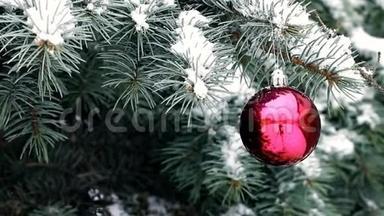 雪天户外蓝云杉树枝上挂着红色圣诞球