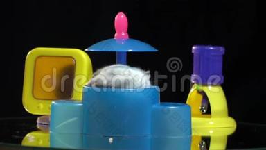 可爱的毛茸茸的仓鼠跑到一个塑料喂食器的背景下，一个饮酒碗，拍摄在一个<strong>展示台</strong>上