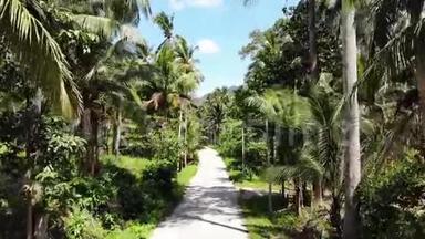 穿过椰子林。 泰国苏梅岛阳光明媚的一天，穿过椰子棕榈<strong>路</strong>。 <strong>医</strong>生