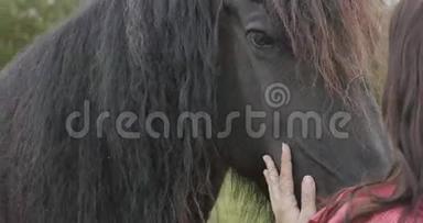 女孩抚摸一匹马，很大