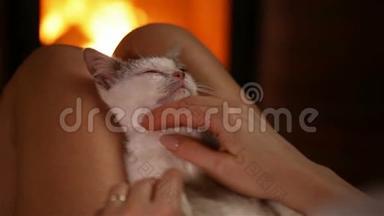 可爱的救援小猫在壁炉享受宠物的新主人