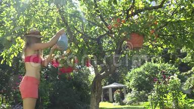 快乐花店的女人穿着红色短裤和胸罩，用浇水罐在树上浇花盆。 4K