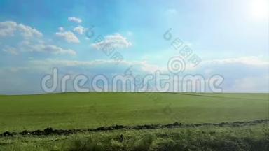 在阳光明媚的日子里，用杜丽相机拍摄绿草全景，蓝天和云彩