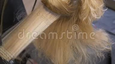 一位<strong>发型师</strong>理发师用吹风机给一位金发女人梳头。