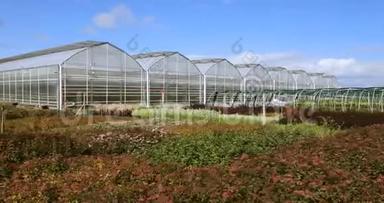 大温室，有玻璃墙，基础，<strong>山墙</strong>屋顶，花园床。 种植蔬菜的园艺温室