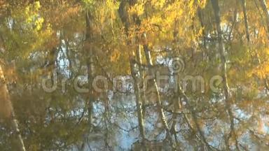 在水面上画画.. 河中秋树的倒影