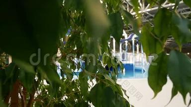 豪华<strong>度假</strong>游泳池，有美丽干净的蓝色水。 4k. <strong>度假</strong>池中的热带树木