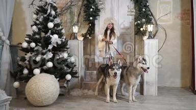 带着哈士奇狗的女孩站在圣诞树附近的门槛上
