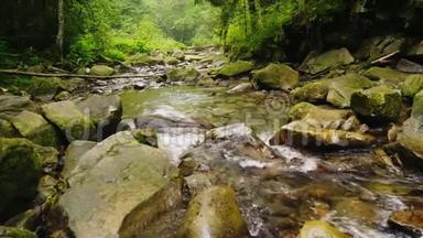 一条美丽的山河或小溪流过森林。 水在大石头上沸腾。 生态和清洁