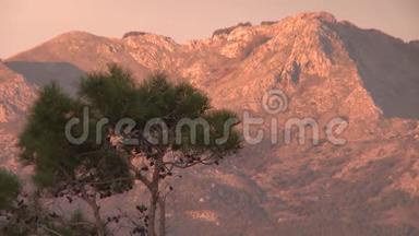 黑山岩石上的树，夕阳<strong>红霞</strong>，美丽的天空