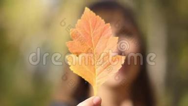 年轻女子向镜头展示五颜六色的秋叶。 美丽的女人捧着秋<strong>黄</strong>的<strong>叶子</strong>近脸。 秋天