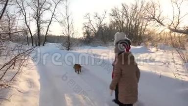 两个女孩和狗和狗在冬季公园沿着<strong>小路散步</strong>。 孩子们在森林里冬天在雪地里和狗玩。 开心快乐
