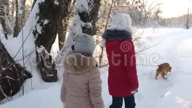 两个女孩和狗和狗在冬季公园沿着小路散步。 孩子们在森林里冬天在雪地里和狗玩。 开心快乐