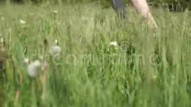 雄脚在田里奔跑.. 运动员在大自然的绿草上慢跑的腿。 运动跑步者在乡村小径上行走。 交叉交叉交叉
