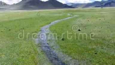 蒙古阿尔泰语。 现状山涧，风景幽谷上的雪山背景..