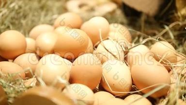 很多鸡蛋在市场的<strong>摊位</strong>上排队。 市场<strong>摊位</strong>，包括蛋、宏、禽