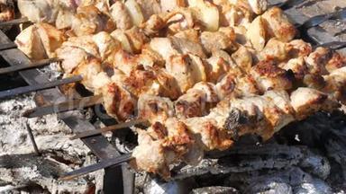 许<strong>多肉</strong>串上的肉块是在篝火上烤的。 肉串或烤肉在自然界中是烤的。 野餐
