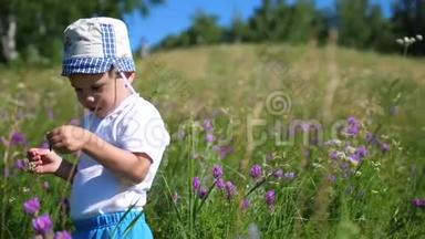 在草地上捉蝴蝶的男孩。 天气晴朗。 在新鲜空气中娱乐。 快乐的童年
